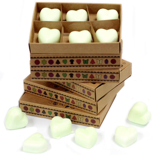 Box of 6 Wax Melts - Apple Spice Natural Soy Wax Melts