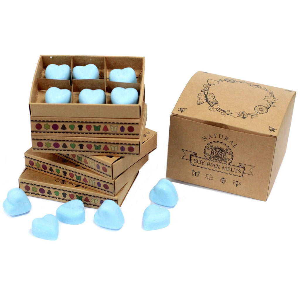Box of 6 Wax Melts - Dewberry Natural Soy Wax Melts