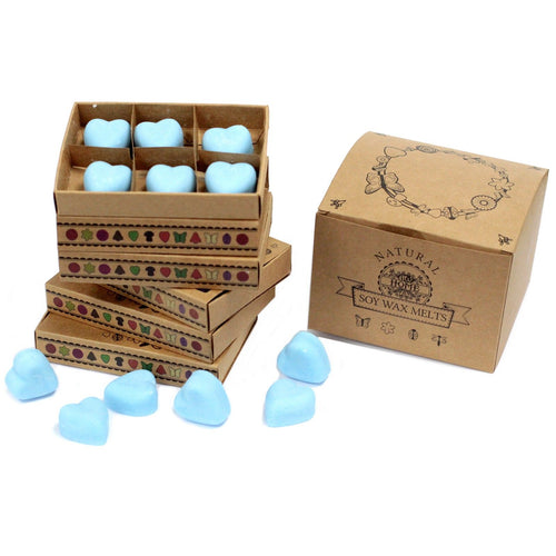 Box of 6 Wax Melts - Dewberry Natural Soy Wax Melts
