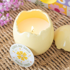 Egg Shaped Candles - 2 Fragrances Citrus & Ginger Candle