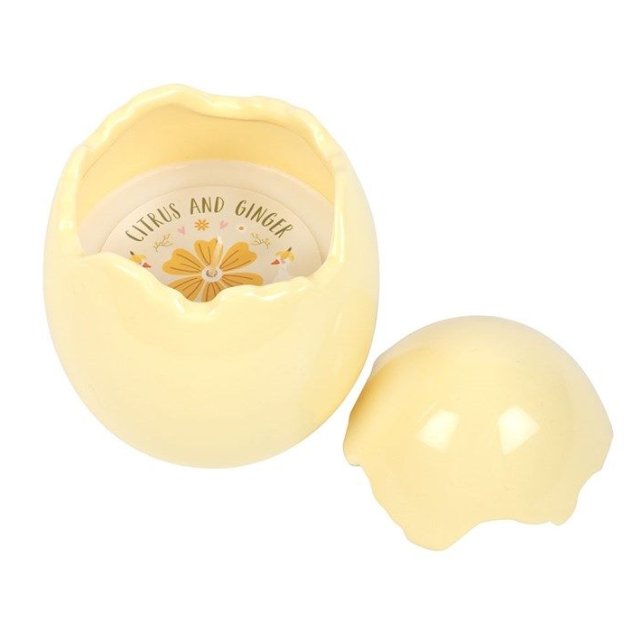 Egg Shaped Candles - 2 Fragrances Candle